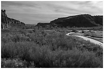 Autum foliage and stream, Cottonwood Canyon. Grand Staircase Escalante National Monument, Utah, USA ( black and white)