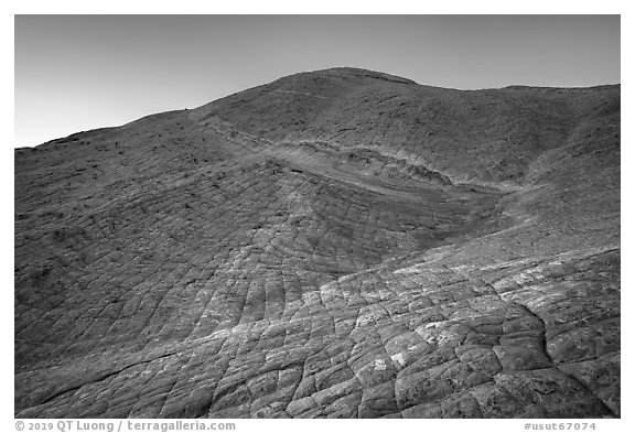 Expanse of cross-bedded sandstone leading to summit of Yellow Rock. Grand Staircase Escalante National Monument, Utah, USA (black and white)