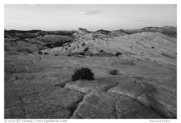 Yellow Rock cross-bedding and Castle Rock. Grand Staircase Escalante National Monument, Utah, USA (black and white)