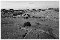 Yellow Rock cross-bedding and Castle Rock. Grand Staircase Escalante National Monument, Utah, USA ( black and white)