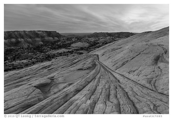 Yellow Rock slickrock and valley. Grand Staircase Escalante National Monument, Utah, USA (black and white)