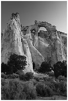 Sagebrush and Grosvenor Arch at dawn. Grand Staircase Escalante National Monument, Utah, USA ( black and white)
