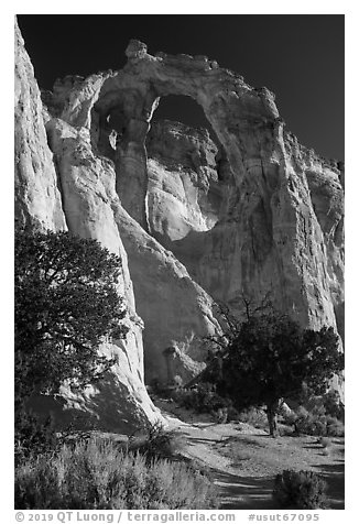 Grosvenor Arch, early morning. Grand Staircase Escalante National Monument, Utah, USA (black and white)