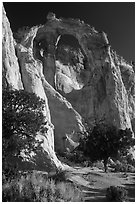 Grosvenor Arch, early morning. Grand Staircase Escalante National Monument, Utah, USA ( black and white)