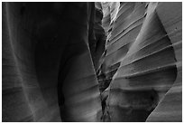 Zebra Slot Canyon. Grand Staircase Escalante National Monument, Utah, USA ( black and white)