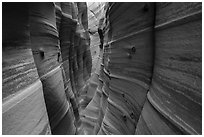 Zebra Slot Canyon with sandstone striations and encrusted moqui marbles,. Grand Staircase Escalante National Monument, Utah, USA ( black and white)
