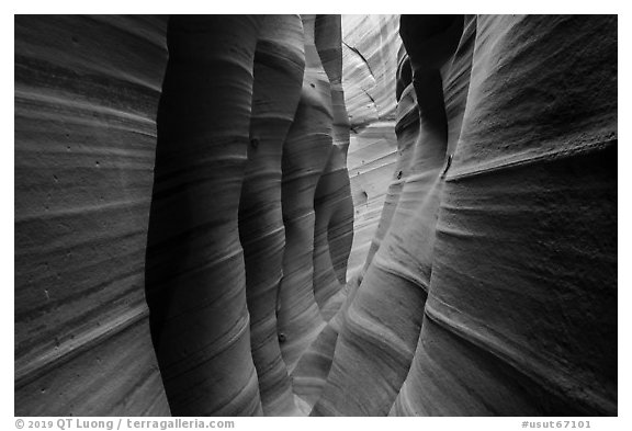 Colorfully striated walls, Zebra Slot Canyon. Grand Staircase Escalante National Monument, Utah, USA (black and white)