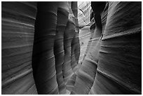 Colorfully striated walls, Zebra Slot Canyon. Grand Staircase Escalante National Monument, Utah, USA ( black and white)