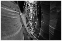 Walls streaked with pink and white stripes, Zebra Slot Canyon. Grand Staircase Escalante National Monument, Utah, USA ( black and white)