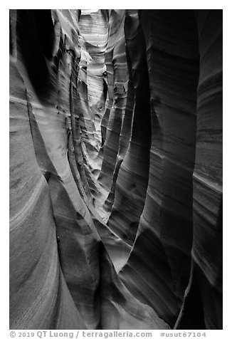 Striped walls, Zebra Slot Canyon. Grand Staircase Escalante National Monument, Utah, USA (black and white)