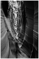 Striped walls, Zebra Slot Canyon. Grand Staircase Escalante National Monument, Utah, USA ( black and white)