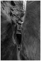 Woman squeezing in Zebra Slot Canyon. Grand Staircase Escalante National Monument, Utah, USA ( black and white)