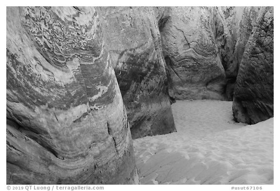 Entrance to Zebra Slot Canyon. Grand Staircase Escalante National Monument, Utah, USA (black and white)