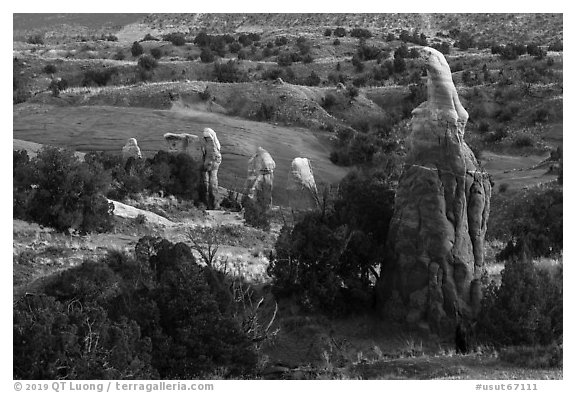 Mononliths and hills, Devils Garden. Grand Staircase Escalante National Monument, Utah, USA (black and white)