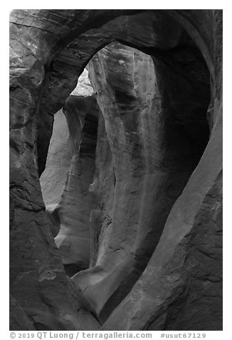 Large arches in Peek-a-Boo slot canyon. Grand Staircase Escalante National Monument, Utah, USA (black and white)
