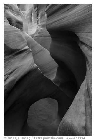 Sculpted sandstone walls and small arch, Peek-a-Boo slot canyon. Grand Staircase Escalante National Monument, Utah, USA (black and white)
