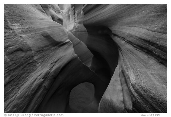 Sculpted walls and arch, Peek-a-Boo slot canyon, Dry Fork Coyote Gulch. Grand Staircase Escalante National Monument, Utah, USA (black and white)