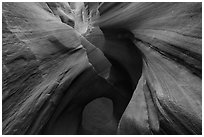 Sculpted walls and arch, Peek-a-Boo slot canyon, Dry Fork Coyote Gulch. Grand Staircase Escalante National Monument, Utah, USA ( black and white)