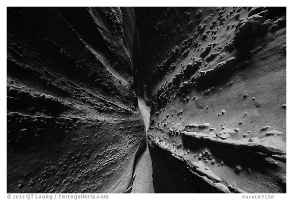 Walls textured with knobs, Spooky slot canyon. Grand Staircase Escalante National Monument, Utah, USA (black and white)