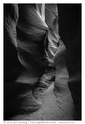 Narrow passage, Spooky slot canyon, Dry Fork Coyote Gulch. Grand Staircase Escalante National Monument, Utah, USA (black and white)