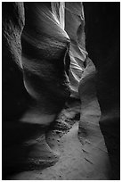 Narrow passage, Spooky slot canyon, Dry Fork Coyote Gulch. Grand Staircase Escalante National Monument, Utah, USA ( black and white)