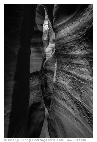 Textured walls, Spooky slot canyon, Dry Fork Coyote Gulch. Grand Staircase Escalante National Monument, Utah, USA (black and white)