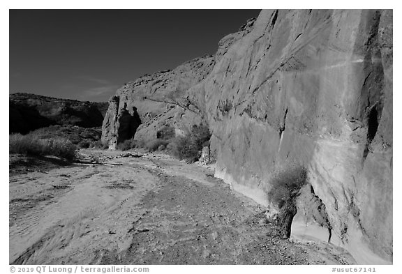 Coyote Gulch dry creek bed. Grand Staircase Escalante National Monument, Utah, USA (black and white)