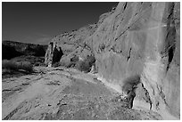 Coyote Gulch dry creek bed. Grand Staircase Escalante National Monument, Utah, USA ( black and white)