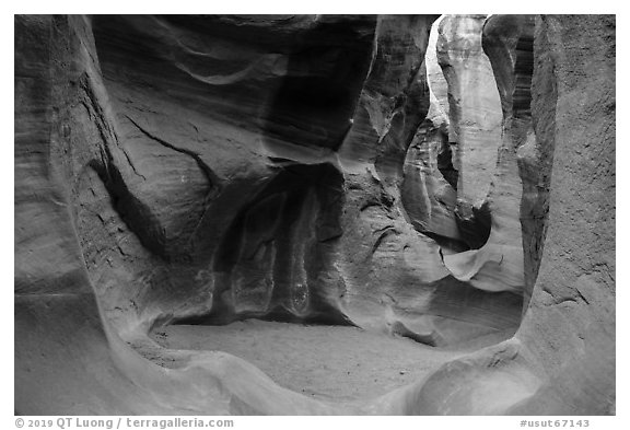 Chamber, Peek-a-Boo slot canyon, Dry Fork Coyote Gulch. Grand Staircase Escalante National Monument, Utah, USA (black and white)