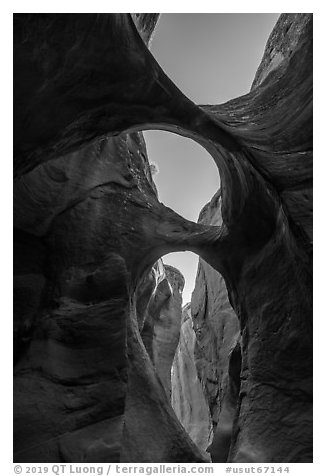 Double arches and sky, Peek-a-Boo slot canyon. Grand Staircase Escalante National Monument, Utah, USA (black and white)