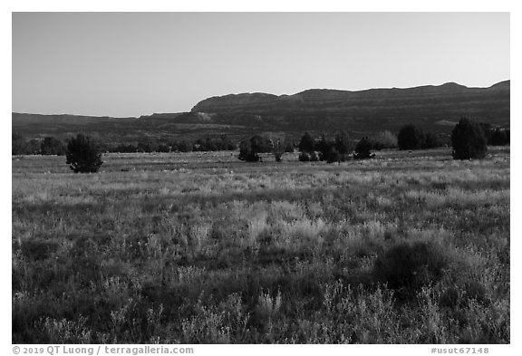 Grasses on plateau and Straight Cliffs. Grand Staircase Escalante National Monument, Utah, USA (black and white)