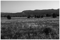 Grasses on plateau and Straight Cliffs. Grand Staircase Escalante National Monument, Utah, USA ( black and white)
