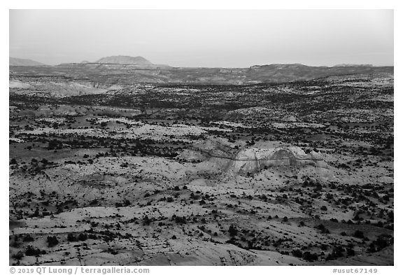 Expanses of sandstone, sunset. Grand Staircase Escalante National Monument, Utah, USA (black and white)