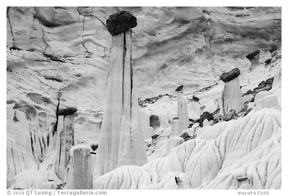 Wahweap Hoodoos called Towers of Silence. Grand Staircase Escalante National Monument, Utah, USA (black and white)
