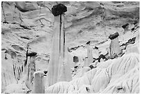 Wahweap Hoodoos called Towers of Silence. Grand Staircase Escalante National Monument, Utah, USA ( black and white)