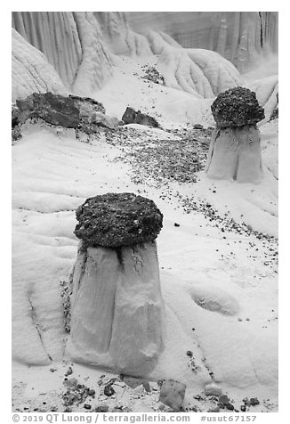 Short caprock formations. Grand Staircase Escalante National Monument, Utah, USA (black and white)