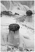 Short caprock formations. Grand Staircase Escalante National Monument, Utah, USA ( black and white)