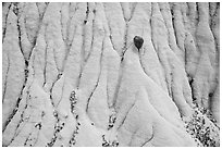 Close up of stone and silt rock. Grand Staircase Escalante National Monument, Utah, USA ( black and white)