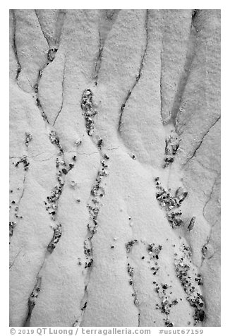 Close up of stones and gullies. Grand Staircase Escalante National Monument, Utah, USA (black and white)