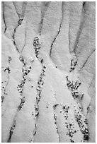 Close up of stones and gullies. Grand Staircase Escalante National Monument, Utah, USA ( black and white)