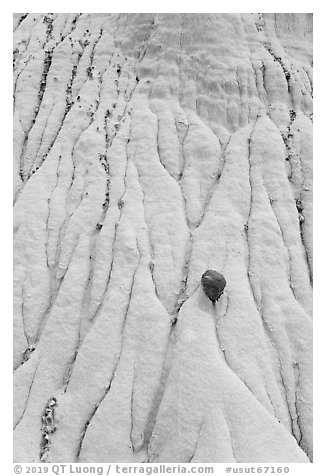 Close up of silt stone with erosion patterns and rock. Grand Staircase Escalante National Monument, Utah, USA (black and white)