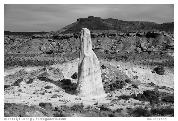 Siltstone spire, Wahweap Wash. Grand Staircase Escalante National Monument, Utah, USA (black and white)