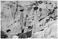 Group of silt stone caprocks. Grand Staircase Escalante National Monument, Utah, USA ( black and white)