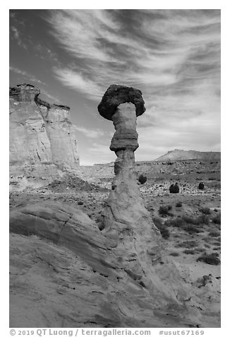 Silt stone Caprock and cliffs, Wahweap Wash. Grand Staircase Escalante National Monument, Utah, USA (black and white)