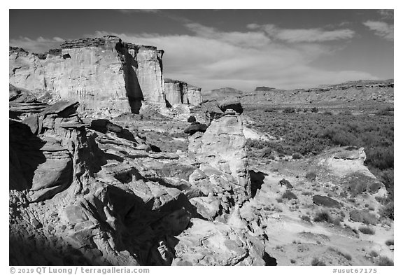 Cliffs and Wahweap Wash. Grand Staircase Escalante National Monument, Utah, USA (black and white)