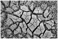 Cracked mud, Wahweap Wash. Grand Staircase Escalante National Monument, Utah, USA ( black and white)