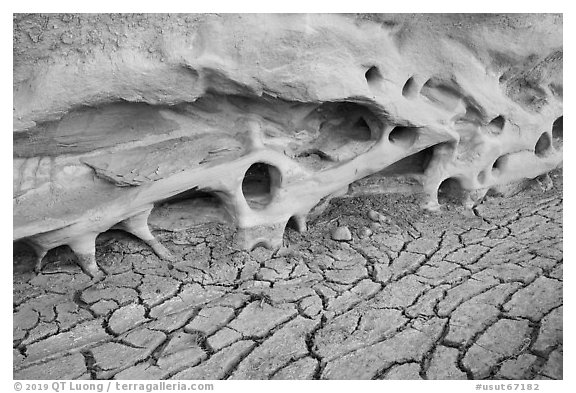 Cracked mud and holes in cliff. Grand Staircase Escalante National Monument, Utah, USA (black and white)