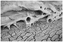 Cracked mud and holes in cliff. Grand Staircase Escalante National Monument, Utah, USA ( black and white)
