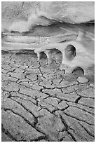 Cracked mud and cliff with holes. Grand Staircase Escalante National Monument, Utah, USA ( black and white)