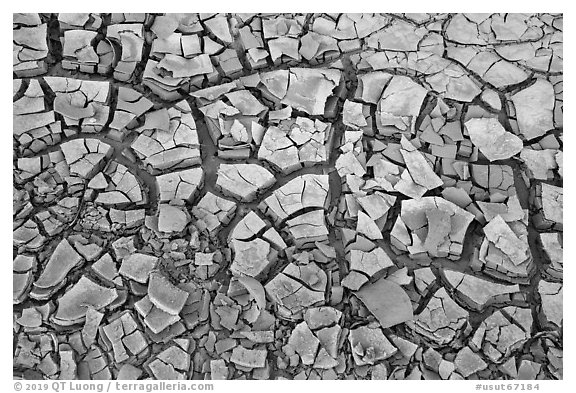 Dried mud. Grand Staircase Escalante National Monument, Utah, USA (black and white)